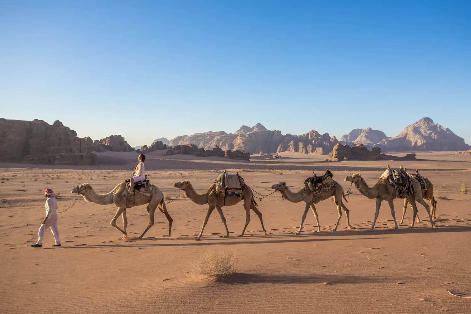 Camel caravan crossing Wadi Rum in Jordan